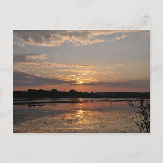 Joys of summer, sunset in somogy county, Hungary Postcard (Front)