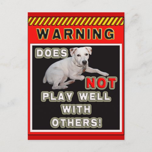 JRT WARNING _ DOES NOT PLAY WELL WITH OTHERS POSTCARD