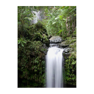Juan Diego Falls Acrylic Print