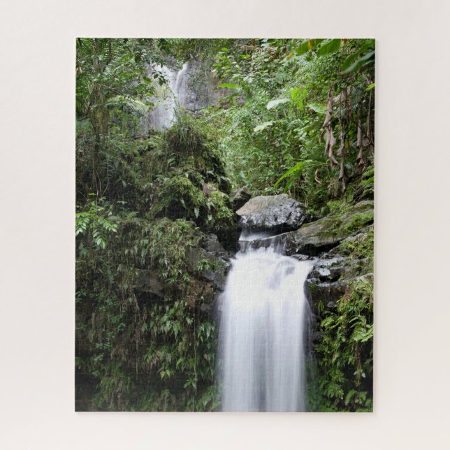 Juan Diego Falls Jigsaw Puzzle (Vertical)