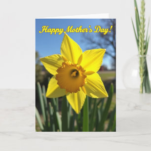 Jubilant Floral Mothers Day Card