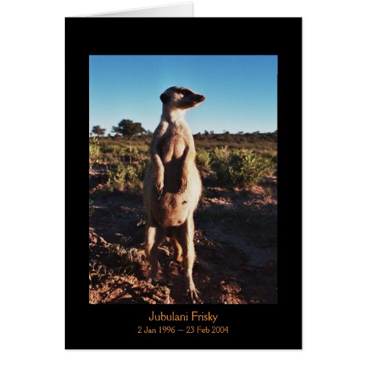 Jubulani Frisky - Legends Card (Front)