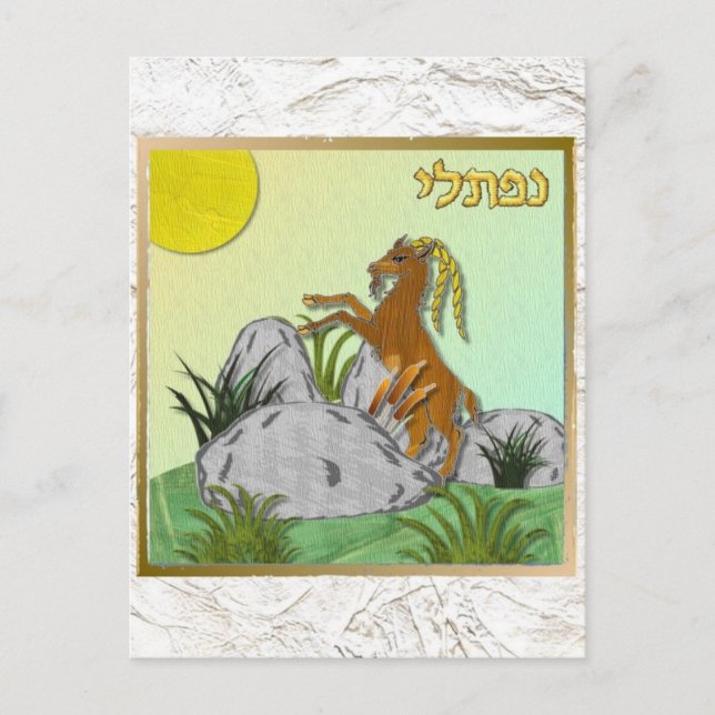 Judaica 12 Tribes Israel Naphtali Postcard (Front)