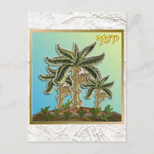 Judaica 12 Tribes Of Israel Joseph Postcard