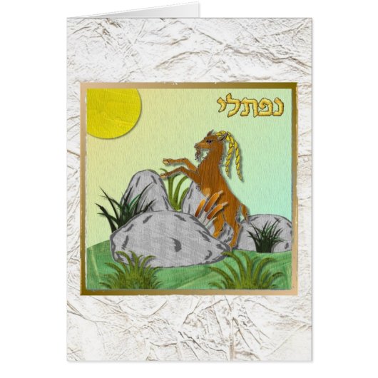 Judaica 12 Tribes Of Israel Naphtali (Front)