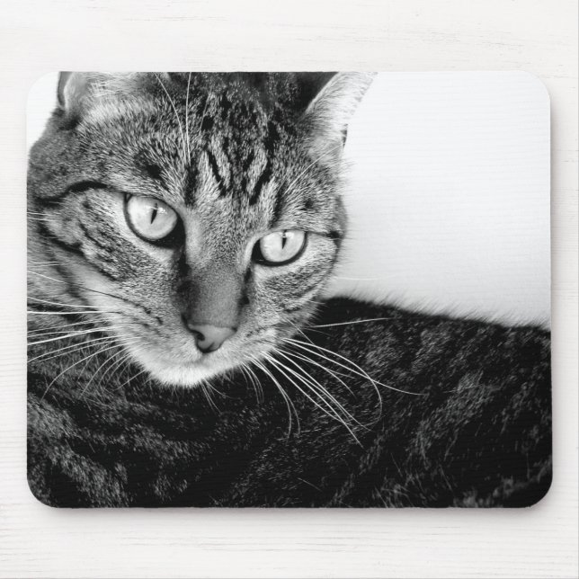 Jude Mouse Pad (Front)