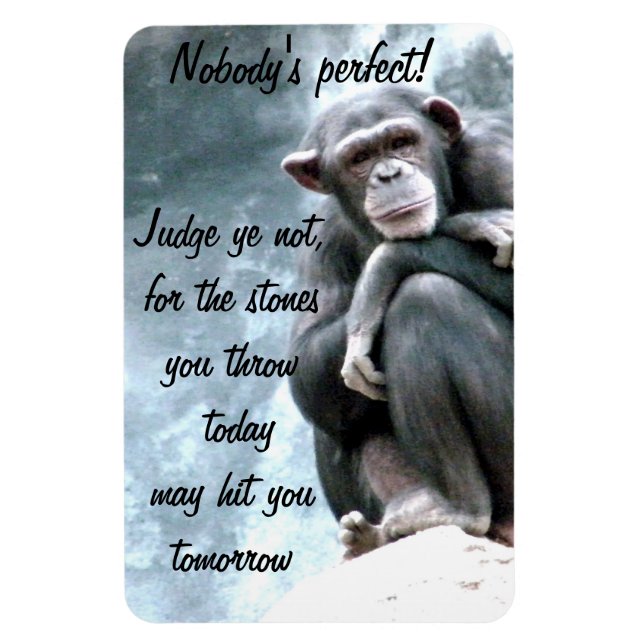 Judge Not!_ Magnet (Vertical)