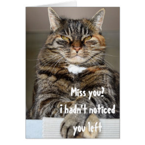Judgement Cat Missing You Funny Humor Greeting Cards