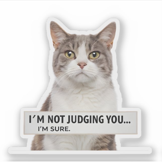 Judging Cat Sarcastic Quote Minimal Art Sticker (Front)