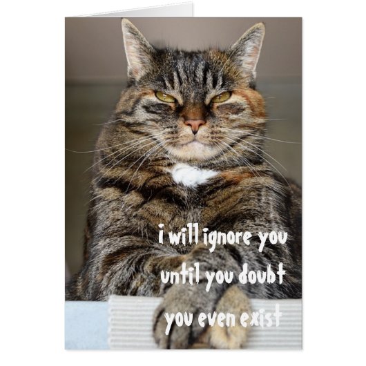 Judgmental Angry Cat Doubt You Exist Humor Funny Cards (Front)