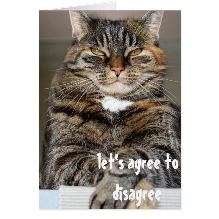 Judgmental Angry Cat Funny Agree to Disagree | Zazzle