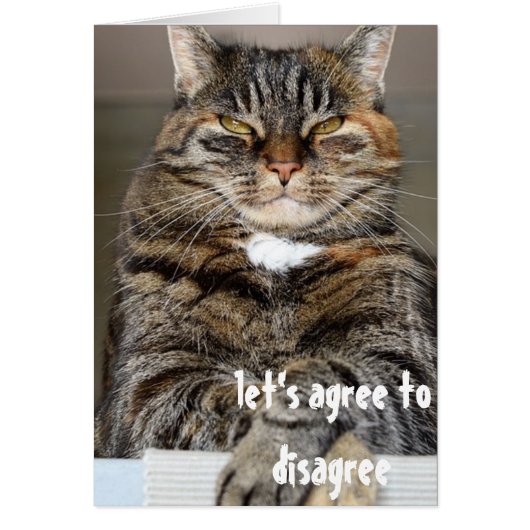 Judgmental Angry Cat Funny Agree to Disagree Cards (Front)