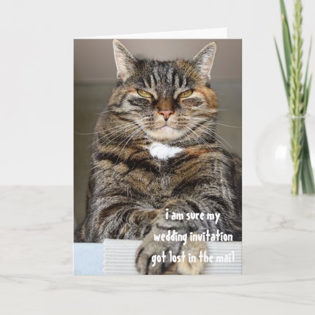 Judgmental Angry Cat Lost Wedding Invitation Humor (Front)