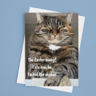 Judgmental Cat Ate Easter Bunny Humor Funny Holiday Card