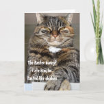 Judgmental Cat Ate Easter Bunny Humor Funny Holiday Card