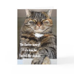 Judgmental Cat Ate Easter Bunny Humor Funny Holiday Card Judgmental Cat Ate Easter Bunny Humor Funny Holiday Card