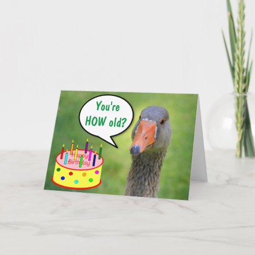 Judgmental Goose Funny Birthday Card