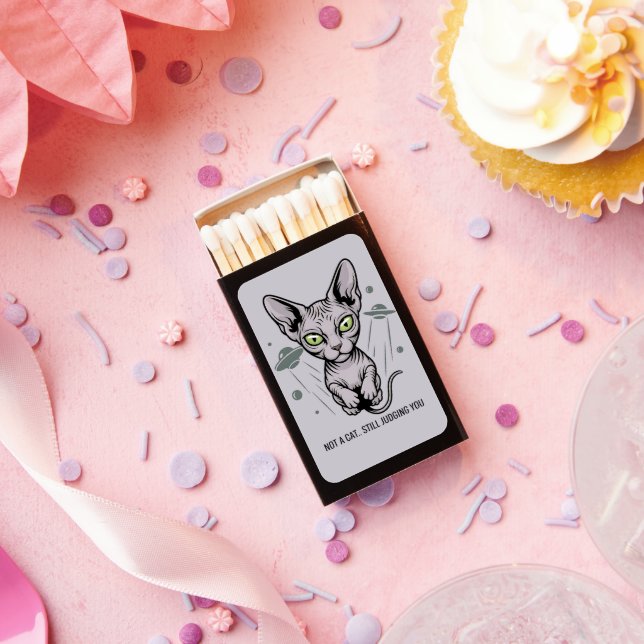 Judgmental Sphynx Cat in Space Art Matchboxes (Insitu)