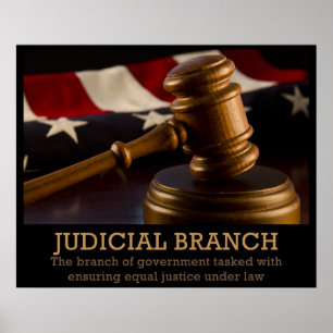 Judicial Branch Poster