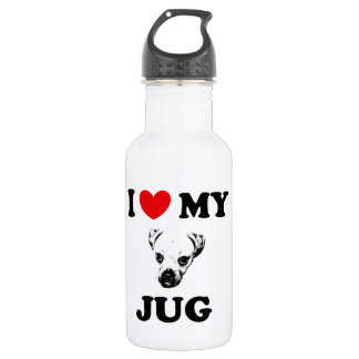 jug dog stainless steel water bottle