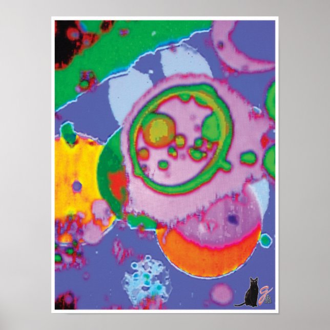 Juicey KC Image Poster (Front)