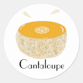Juicy Cantaloupe Classic Round Sticker