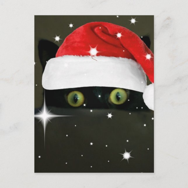 Juicy Lucy Santa Hat Holiday Postcard (Front)