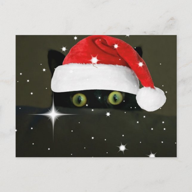 Juicy Lucy Santa Hat Holiday Postcard (Front)