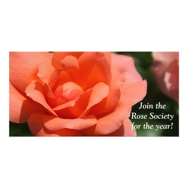 Juicy Orange Rose Card (Front)