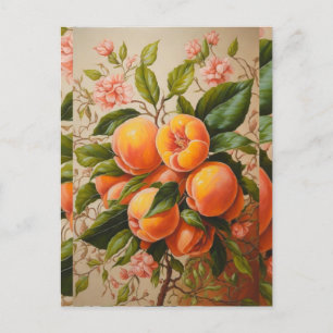 Juicy peaches  postcard