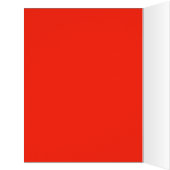 Juicy Red Homegrown Garden Tomatoes (Inside (Left))