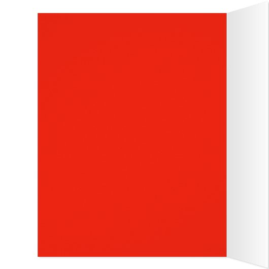 Juicy Red Homegrown Garden Tomatoes (Inside (Left))