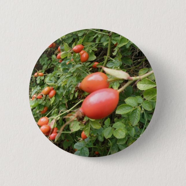 Juicy Red Rose Hips Button (Front)