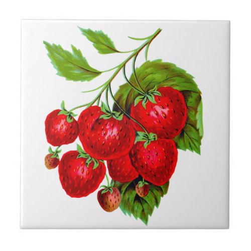 Juicy Red Strawberries Ceramic Tile