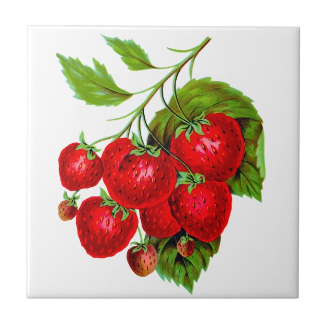 Juicy Red Strawberries Ceramic Tile (Front)