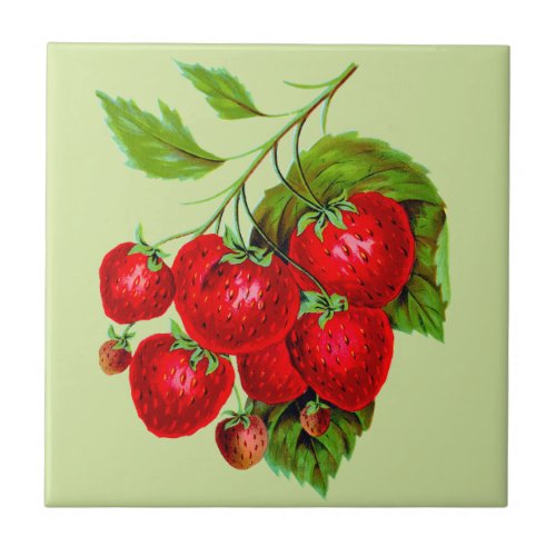 Juicy Red Strawberries Ceramic Tile