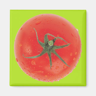 Juicy Tomato Magnet