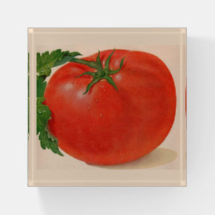 juicy tomato paperweight