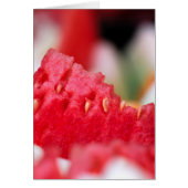 Juicy Watermelon close-up (Front)