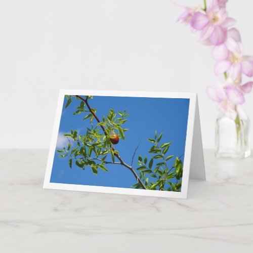 Jujube Fruit on Deciduous Tree Card