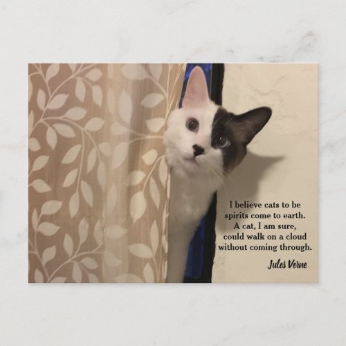 Jules Verne Cat Quote Postcard