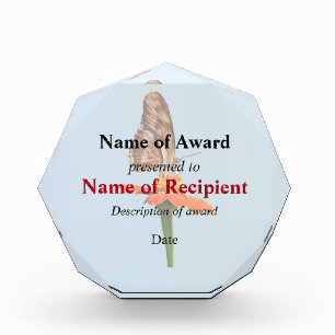 Julia Butterfly on Zinnia Acrylic Award