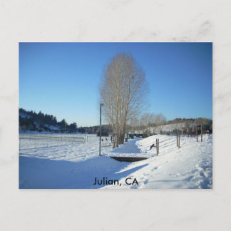 Julian, CA Postcard