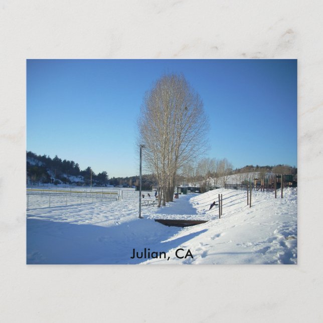 Julian, CA Postcard (Front)