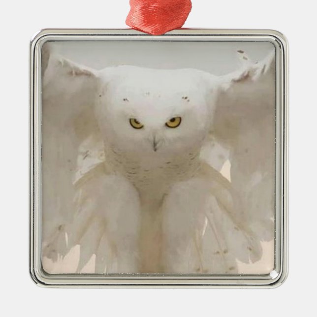 JULIAN OWL ORNAMENT (Front)