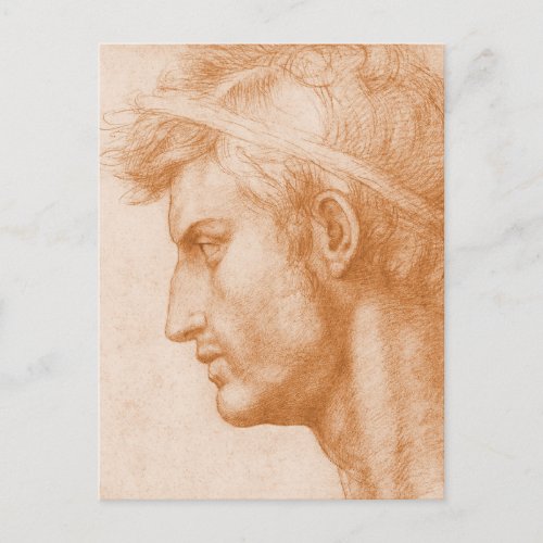 Julius Caesar by Andrea del Sarto Postcard