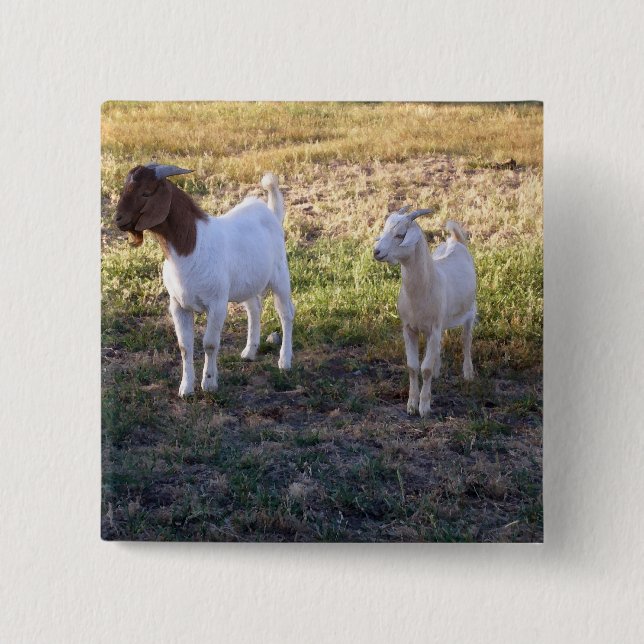 July2008_TwoGoats_v2 Pinback Button (Front)