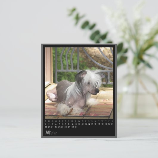 july 2012 calendar (Standing Front)