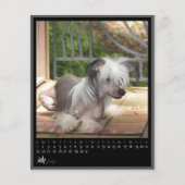 july 2012 calendar (Front)