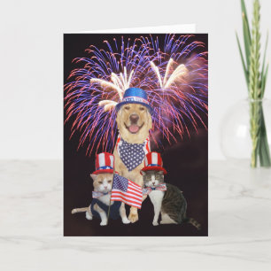 July 4th Birthday Card with Funny Pets
